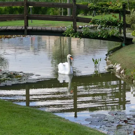 Ξενοδοχείο Dei Dogi 3*